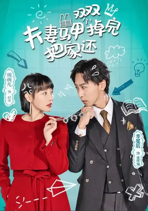 夫妻马甲双双掉完把家还0