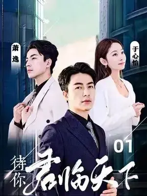 待你君临天下0