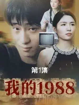 我的19880