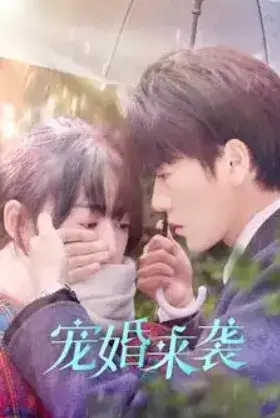 宠婚来袭0