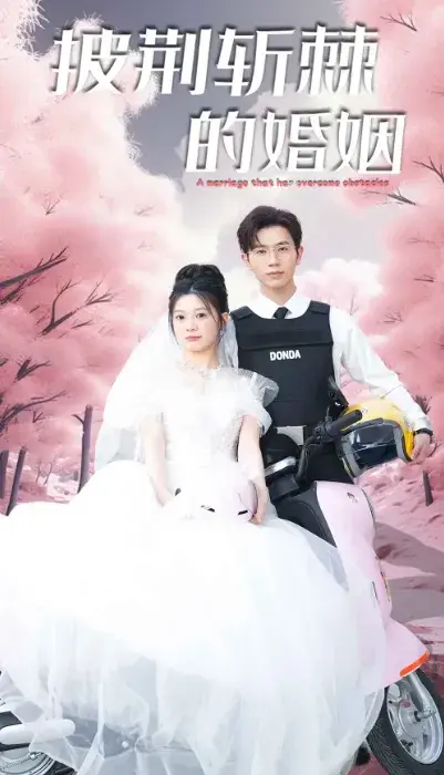 新版：披荆斩棘的婚姻0