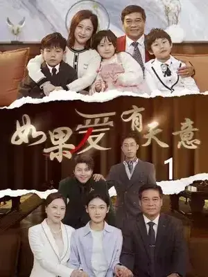 如果爱有天意0