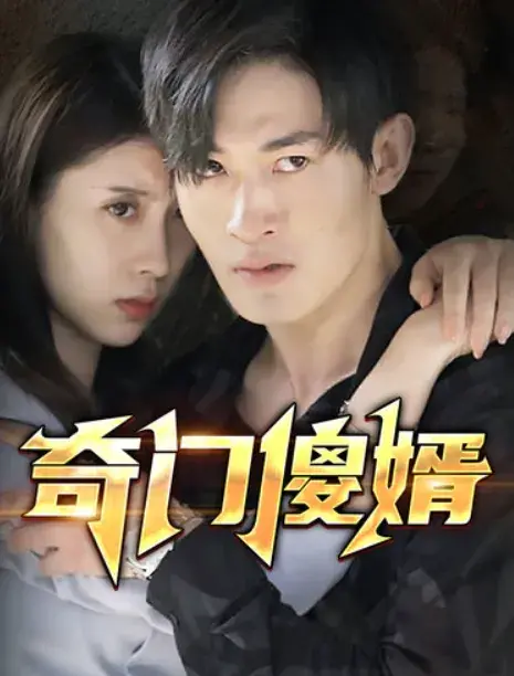 奇门傻婿&奇门神婿0