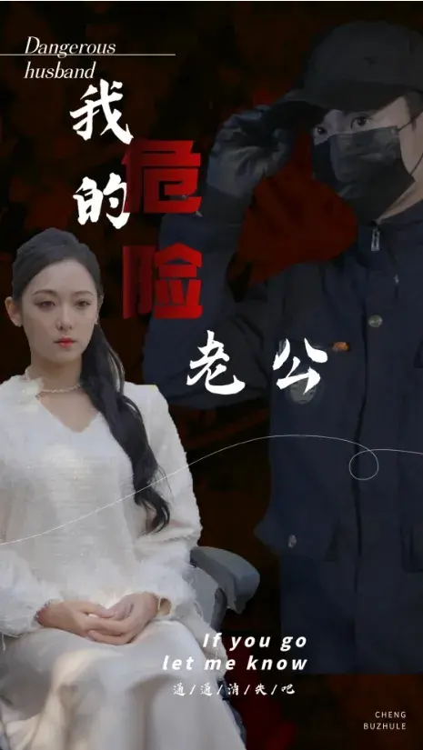 我的危险老公0