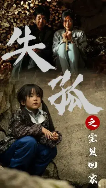 失孤之宝贝回家0