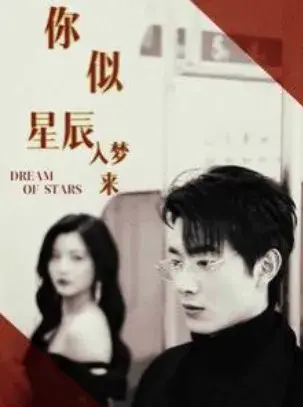 你似星辰入梦来0