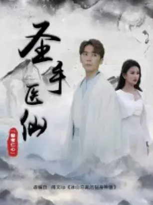 圣手医仙0