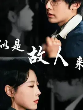 似是故人来0