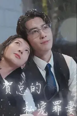 贺总的私宠罪妻0
