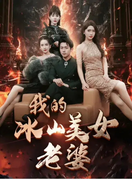 我的冰山美女老婆0