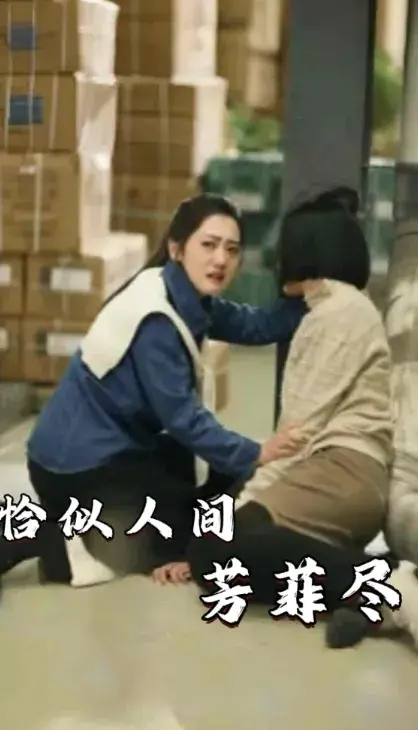 恰似人间芳菲尽0