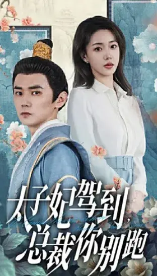 太子妃驾到，总裁你别跑0