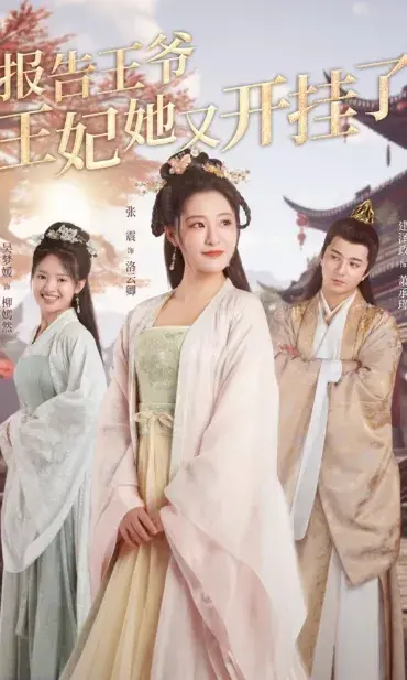 报告王爷，王妃她又开挂了&另谋高嫁，这王妃我不当了&哎呀王爷，王妃她又开挂了0