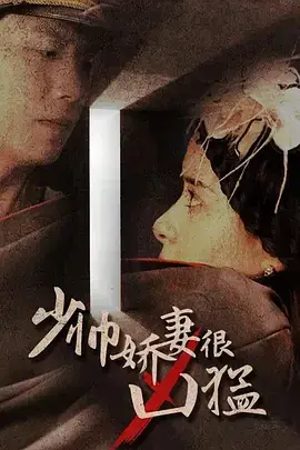 少帅娇妻很凶猛0