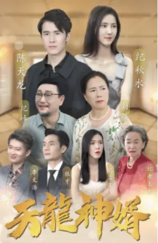 天龙神婿0