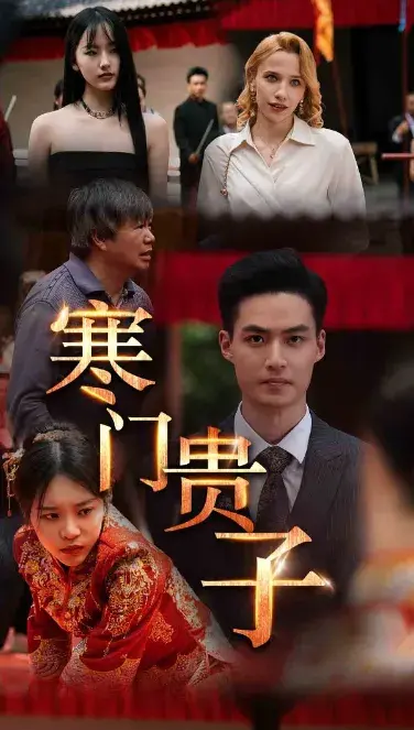寒门贵子0