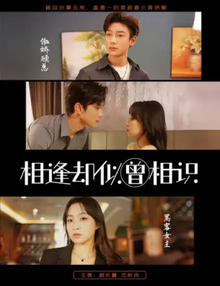 相逢却似曾相识&离婚后顾太太的马甲藏不住了0