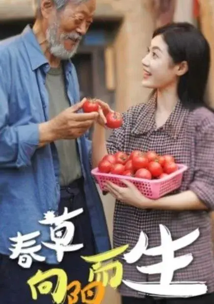 春草向阳而生0