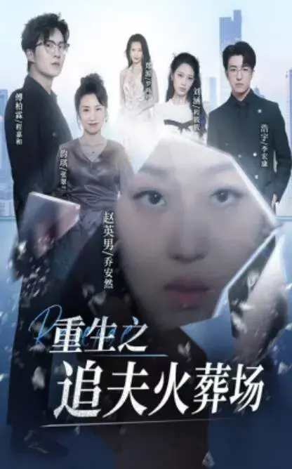 重生之追夫火葬场0