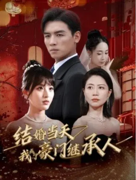 结婚当天我成了豪门继承人0