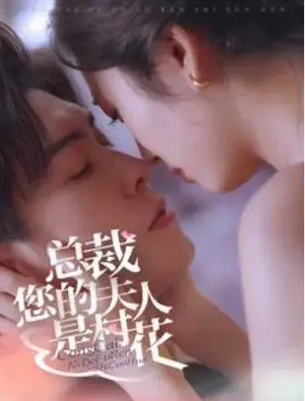 总裁您的夫人是村花0