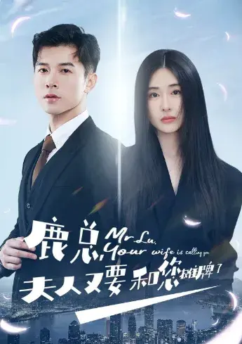 鹿总夫人又要和您摊牌了0