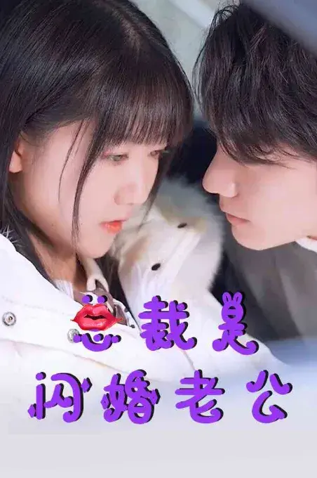 总裁是闪婚老公0