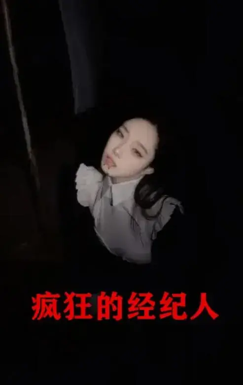 疯狂的经纪人0