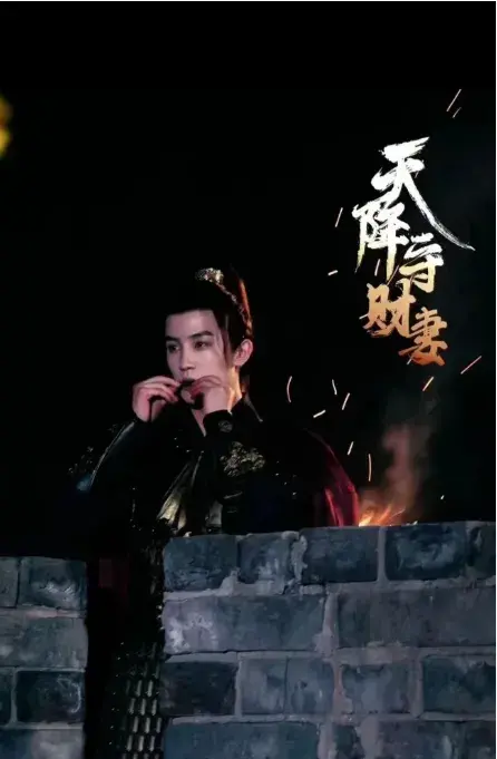 天降守财妻0