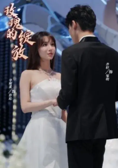 玫瑰的绽放0