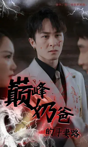 巅峰奶爸的寻妻路0