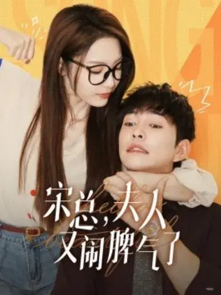 宋总，夫人又闹脾气了0
