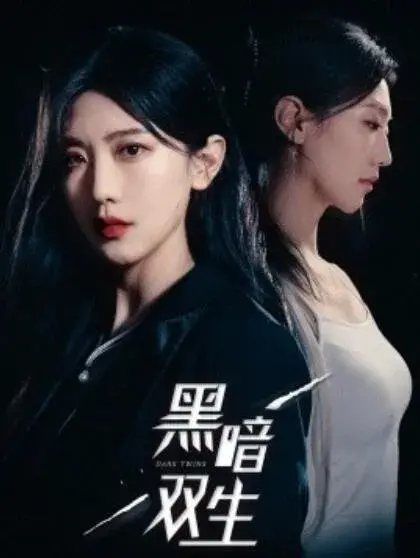 黑暗双生0