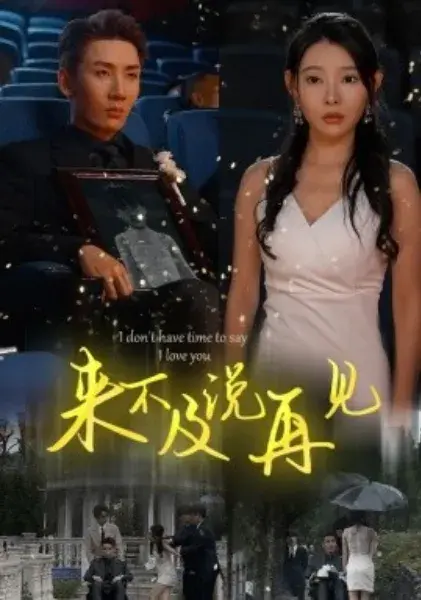 来不及说再见0