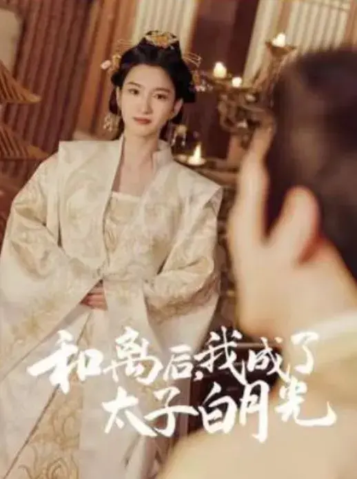 和离后，我成了太子白月光0