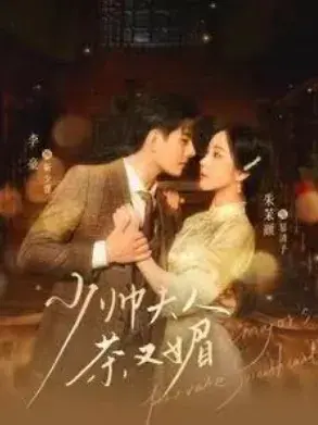 少帅夫人茶又媚0