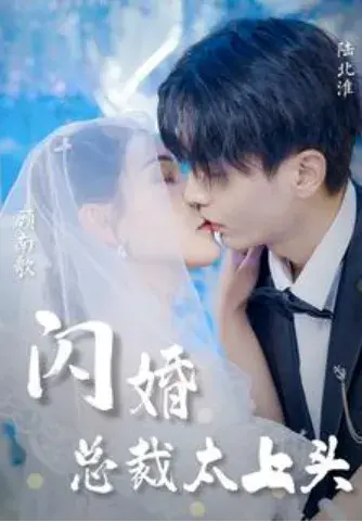 闪婚总裁太上头0