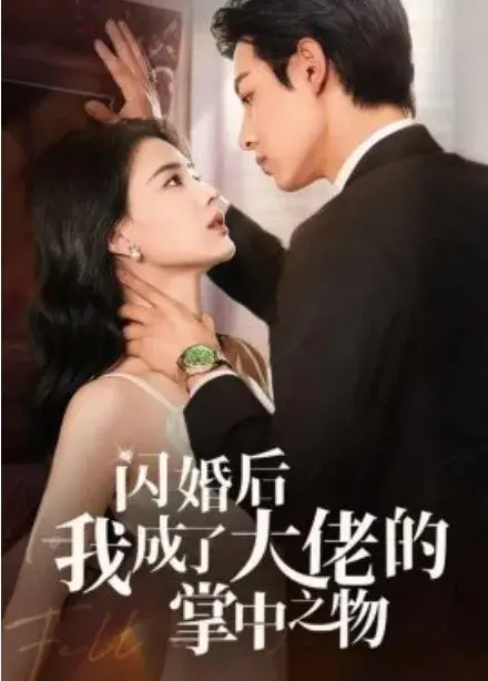 闪婚后我成了大佬的掌中之物0