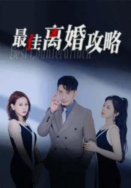 最佳离婚攻略0