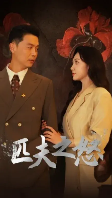 匹夫之怒0