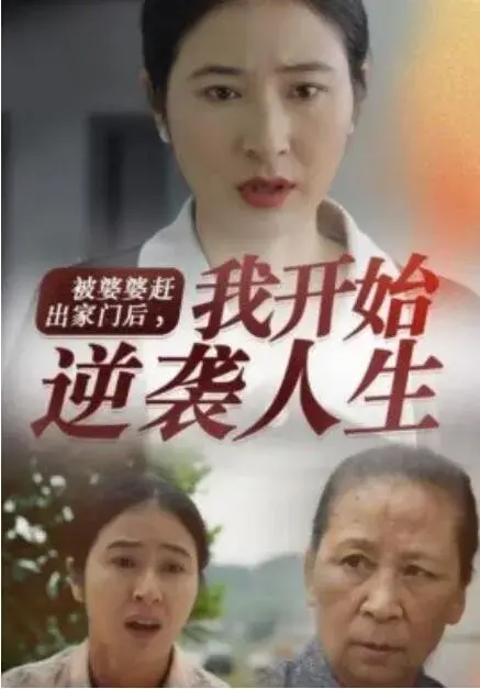 被婆婆赶出家门后，我开始逆袭人生0