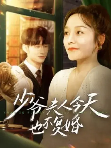 少爷夫人今天也不复婚0