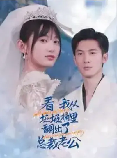 看我从垃圾桶里翻出了总裁老公0