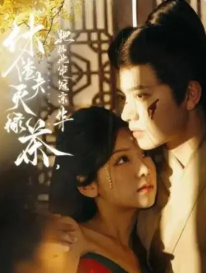 休渣夫灭绿茶，她从此宠冠京华&满目星回又思卿0