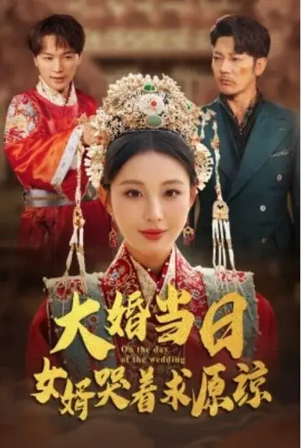 大婚当日，女婿哭着求原谅0