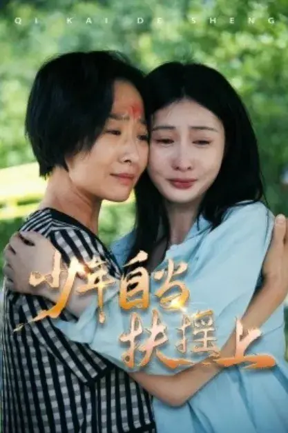 少年自当扶摇上0
