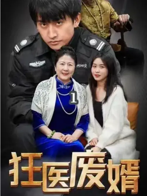 狂医废婿0