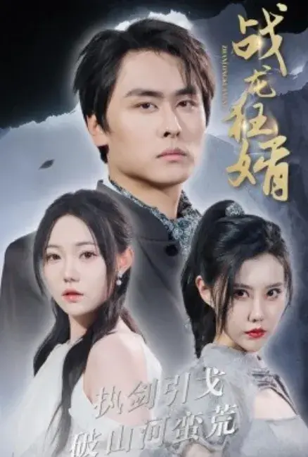 战龙狂婿0