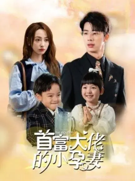 首富大佬的小孕妻0