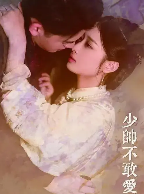 少帅不敢爱0